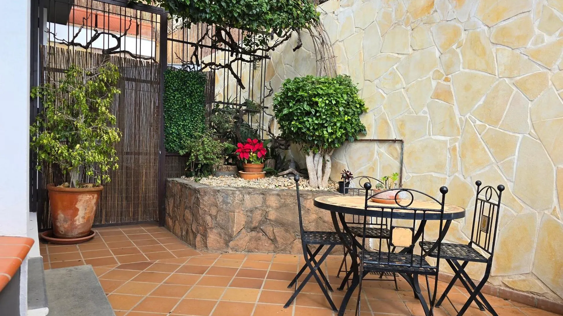 Lejlighed Apartamento Buganvilla Santa Cruz de Tenerife